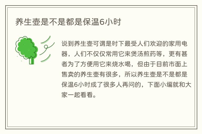 养生壶是不是都是保温6小时