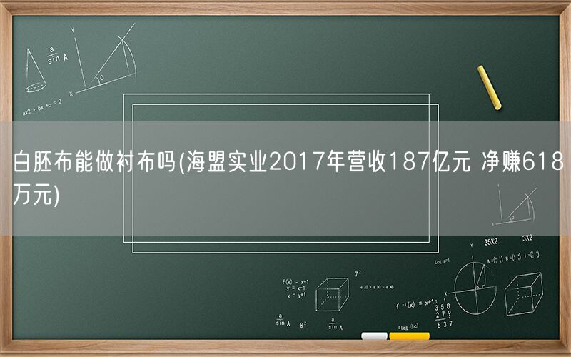 白胚布能做衬布吗(海盟实业2017年营收187亿元 净赚618万元)(图1)