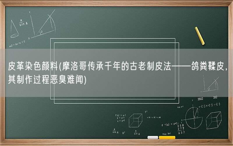 皮革染色颜料(摩洛哥传承千年的古老制皮法——鸽粪鞣皮，其制作过程恶臭难闻)