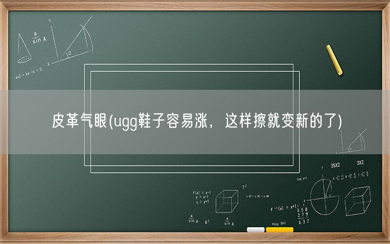 皮革气眼(ugg鞋子容易涨，这样擦就变新的了)(图1)