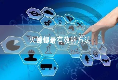 灭蟑螂最有效的方法(图1)