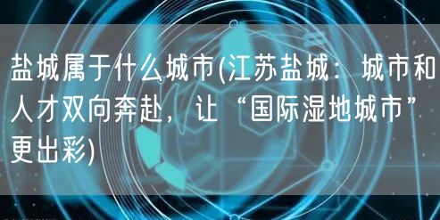 盐城属于什么城市(江苏盐城：城市和人才双向奔赴，让“国际湿地城市”更出彩)