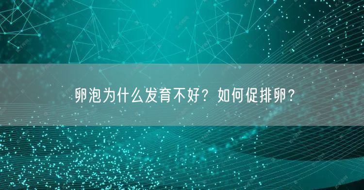 卵泡为什么发育不好？如何促排卵？