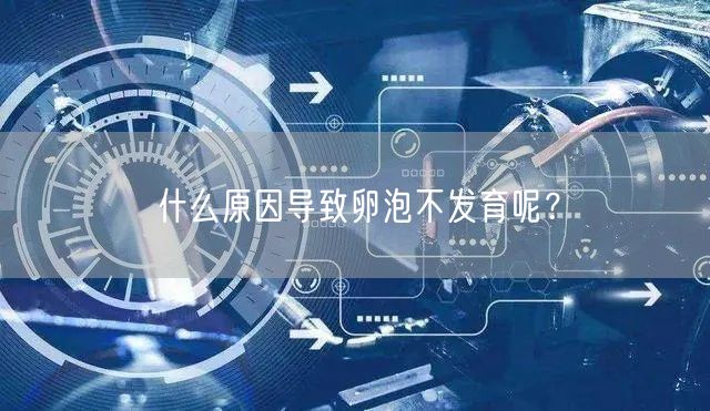 什么原因导致卵泡不发育呢？(图1)