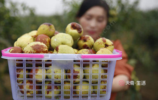 菏泽特色水果