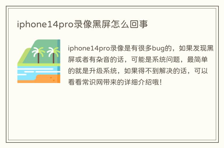 iphone14pro录像黑屏怎么回事